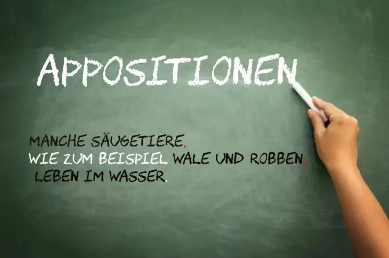 Appositionen الجمل الواصفة فى اللغة الألمانية وأمثلة عليها