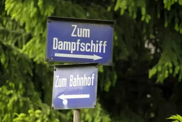 ما الفرق بين NACH و ZU فى اللغة الألمانيه؟